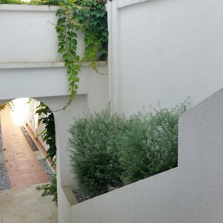 Villa Olivia Котор Экстерьер фото