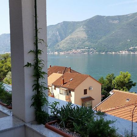 Villa Olivia Котор Экстерьер фото